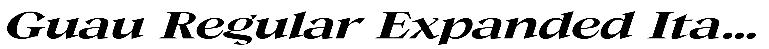 Guau Regular Expanded Italic